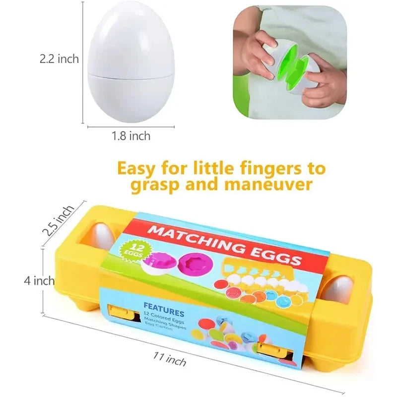Montessori Smart Eggs — Color & Shape Sensory Puzzle